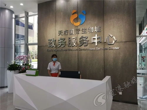 1號1窗1網 辦事省心更快捷 就在3天后